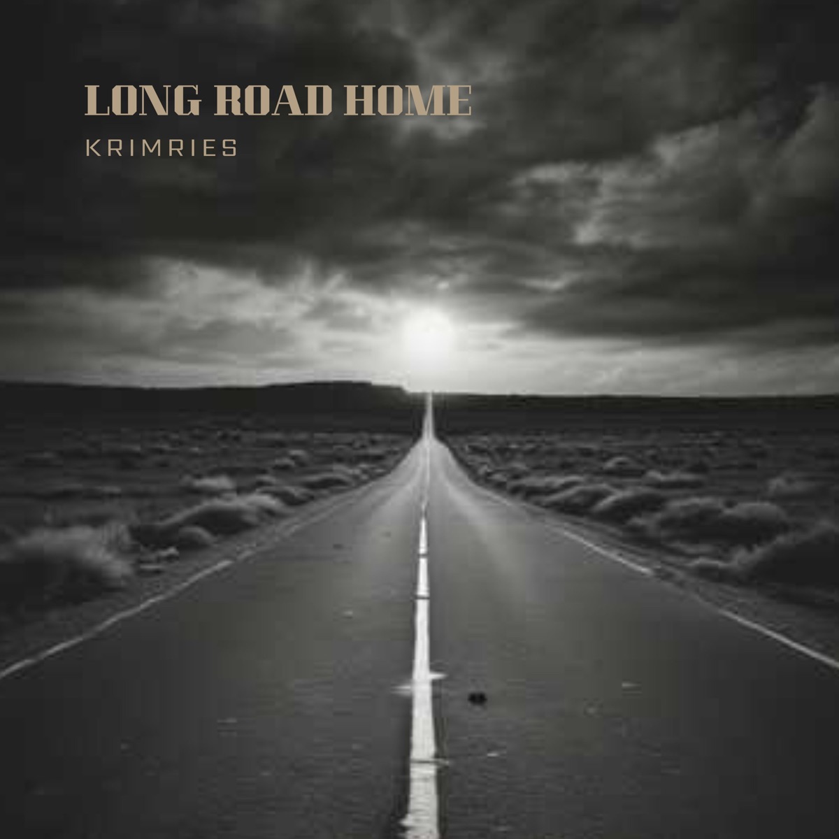 Long Road Home