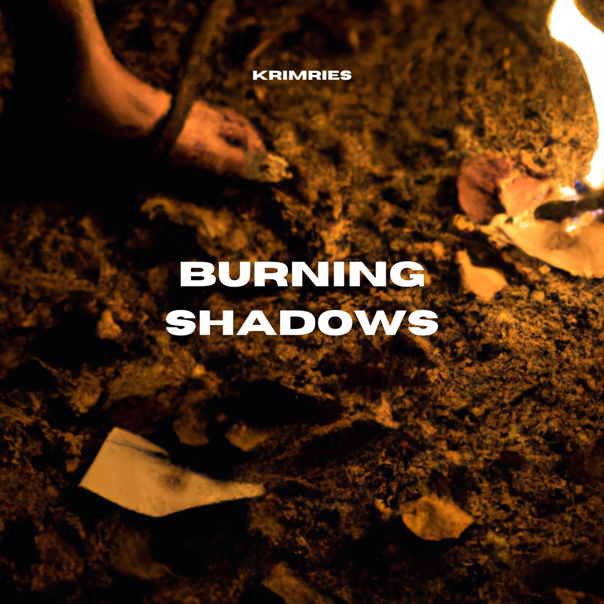 Burning Shadows
